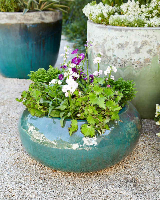Glazed Ceramic Planter